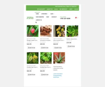 Tropicalplantae.com(Online cheap nursery fruit trees store online fast shipping free shipping uncommon trees) Screenshot