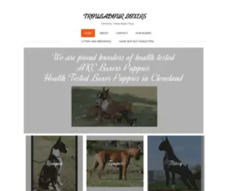 Troubadourboxers.com(Health Tested Boxer Puppies) Screenshot