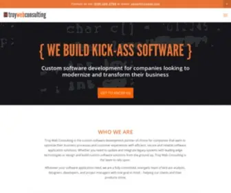 Troyweb.com(Custom Software Development) Screenshot