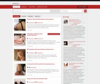 TRTDC.com(夜趣手机触屏导航) Screenshot