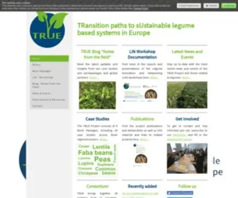 True-Project.eu(TRUE Project) Screenshot