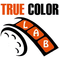 Truecolorlab.com Favicon