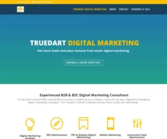 Truedart.com(TrueDart Digital Marketing Consulting) Screenshot