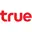 Trueinternet.co.th Logo