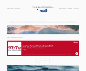 Trueislanddigital.com(True Island Digital) Screenshot