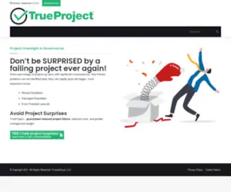 Trueprojectsolutions.com(Trueprojectsolutions) Screenshot