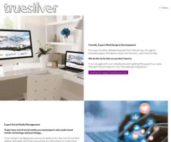 Truesilver.co.uk(Truesilver Web Social Marketing) Screenshot