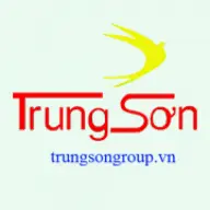 Trungsongroup.vn Favicon