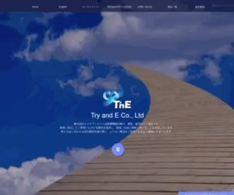 TRY-E.co.jp(株式会社トライアンドイーは医療機器) Screenshot