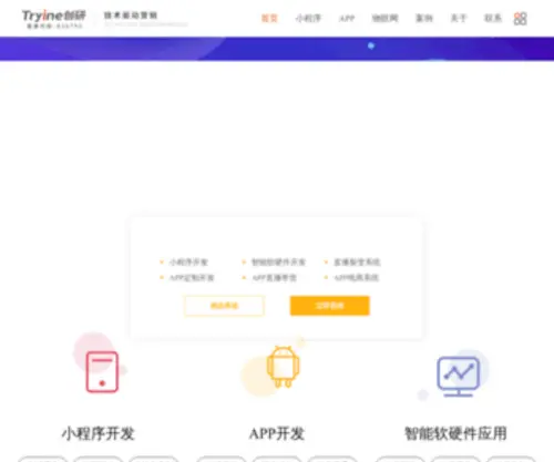 Tryineapp.com(物联网软件定制开发公司) Screenshot