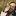 Tryonhayes.com Favicon