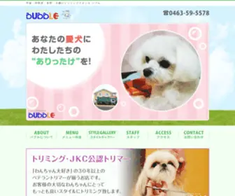 TS-Bubble.com(伊勢原) Screenshot