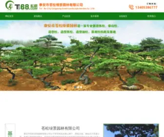 TS68.com(泰山松树) Screenshot