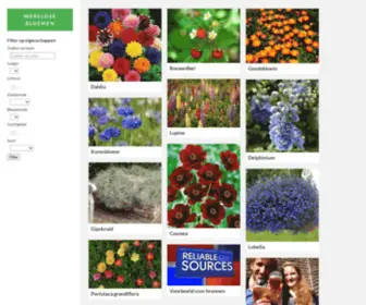 TSchilstra.nl(Wereldse Bloemen) Screenshot