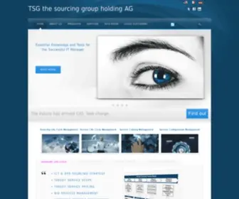 Tsgag.com(TSG the sourcing group holding AG) Screenshot