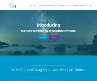 TSGglobal.com(Telecom Consulting And Compliance Services) Screenshot