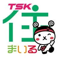 TSK-Housingstyles.com Favicon