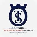 Tslogistikindonesia.co.id Logo