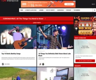 Tsminteractive.com(TSM Interactive) Screenshot