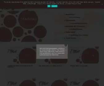 Tstattraining.eu(TStat Training) Screenshot