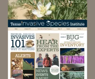 Tsusinvasives.org(Texas Invasive Species Institute) Screenshot
