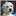 TSV-Tiere-UND-Menschen.de Favicon