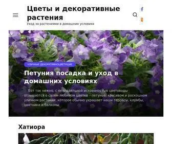 Tsvetem.ru(Цветы) Screenshot