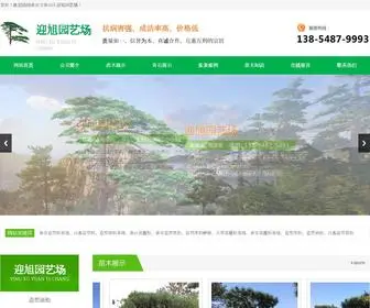 TSYYYY.com(泰安市泰山区迎旭园艺场) Screenshot