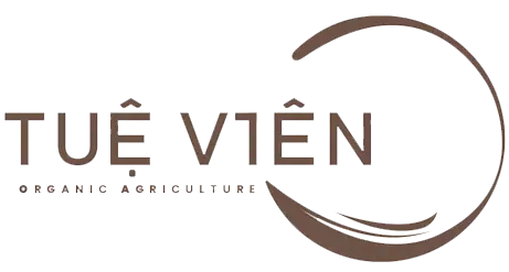 Tueviengroup.com Favicon