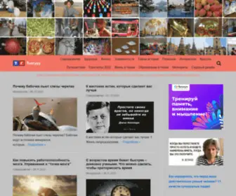 Tuguru.ru(Топгуру) Screenshot