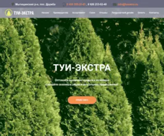 Tuiextra.ru(Продажа) Screenshot