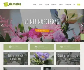 Tuincentrum-Demolen.be(Groene ideeën voor tuin & interieur) Screenshot