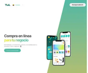 Tul.com.co(We optimize construction materials supply chain) Screenshot