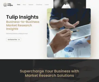 Tulipinsights.com(B2B Market Research Surveys) Screenshot