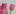Tulipsandaterrier.com Favicon