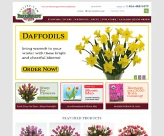 Tulips.com(Fresh Cut Flowers & Spring Flowering Bulbs) Screenshot