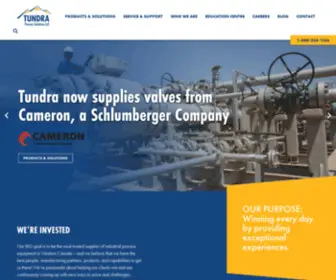 Tundrasolutions.ca(Tundra Process Solutions Ltd) Screenshot