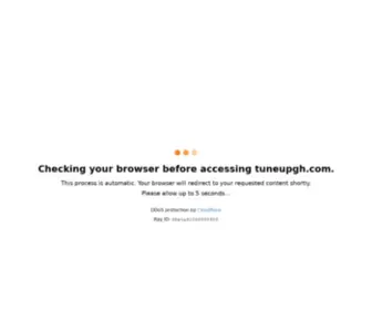 Tuneupgh.com(Premium Online Info) Screenshot