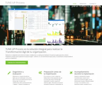 Tuneupprocess.com(TUNE-UP Process) Screenshot