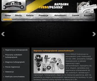 Turbosprezarki-Naprawa.pl(Naprawa) Screenshot