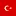 Turgutluyanki.com Logo