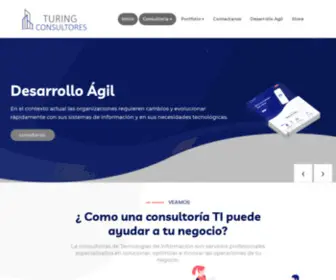 Turing-Consultores.com(Turing Consultores) Screenshot