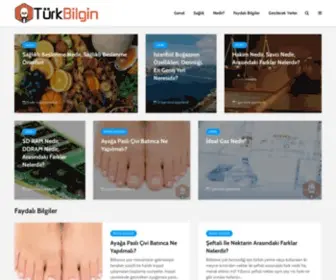 Turkbilgin.com(Türk Bilgin) Screenshot