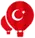 Turkeytrip.info Favicon