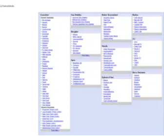 Turkishmedia.net(Turkish Media) Screenshot