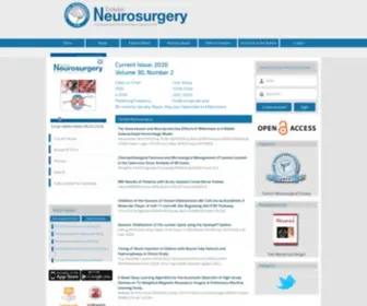 Turkishneurosurgery.org.tr(Turkish Neurosurgery) Screenshot