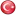 Turkishtextile.ru Favicon