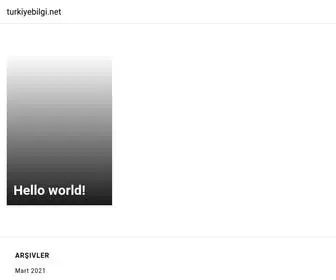 Turkiyebilgi.net(Just another WordPress site) Screenshot
