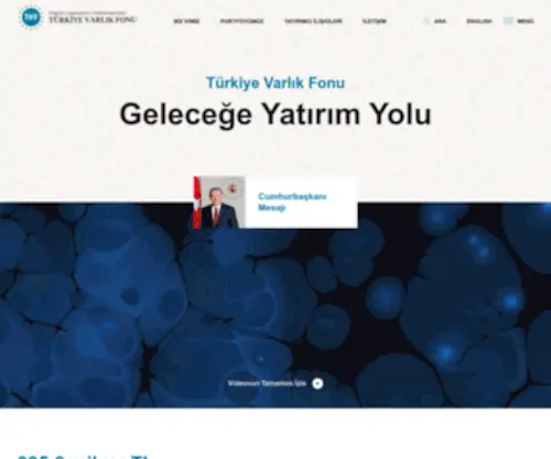 Turkiyevarlikfonu.com.tr(Türkiye) Screenshot