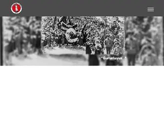 Turkkadinlarbirligi.org(Türk) Screenshot